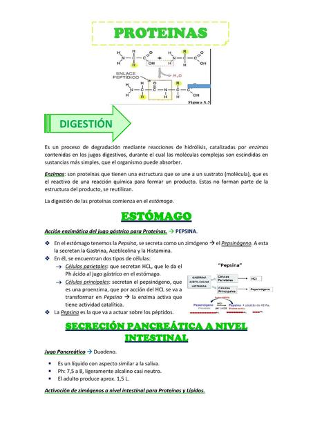 Proteínas 