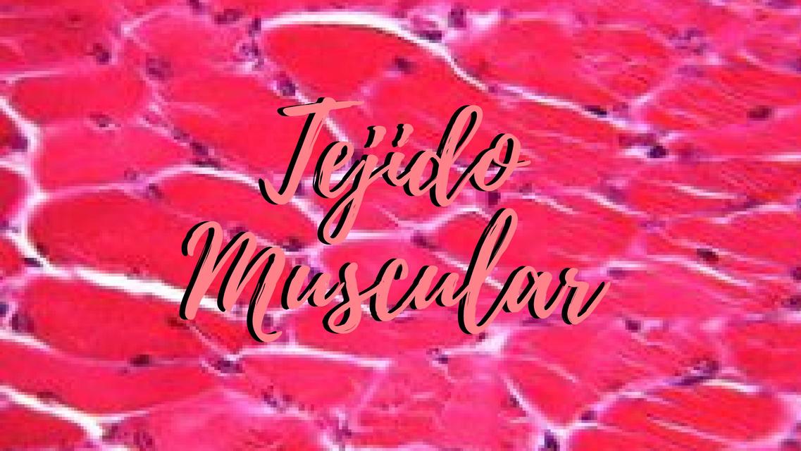 Tejido Muscular Medicina Tejido Muscular Apuntes Universitarios Udocz Tejido Muscular Medicina Tejido Muscular Apuntes Universitarios Udocz