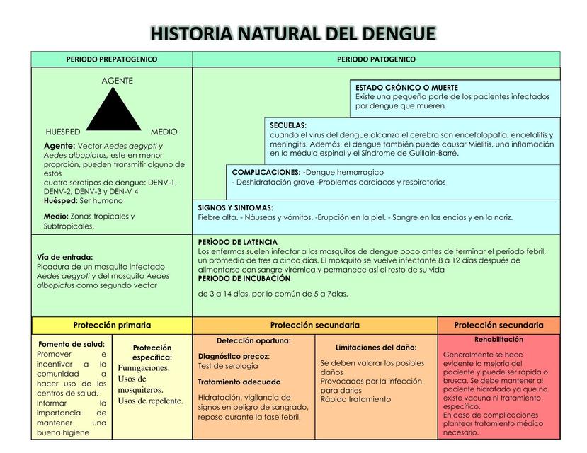 Historia Natural del Dengue 