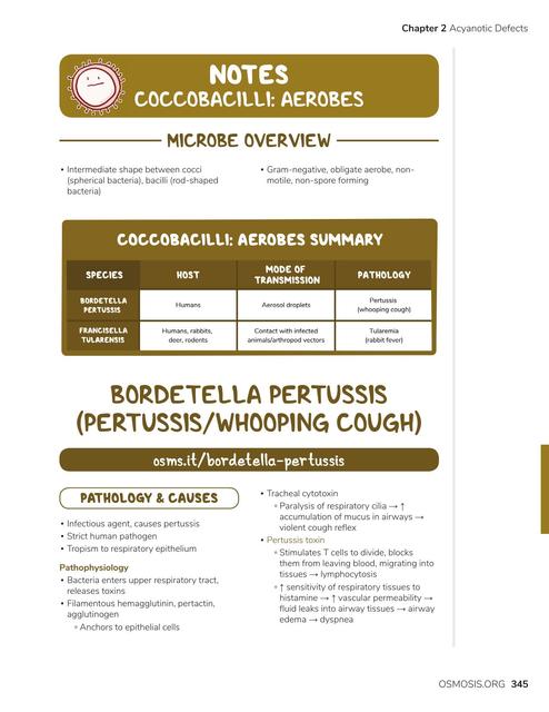 Coccobacilli Aerobes