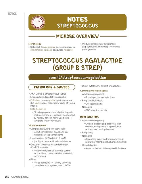 Streptococcus