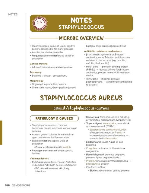 Staphylococcus