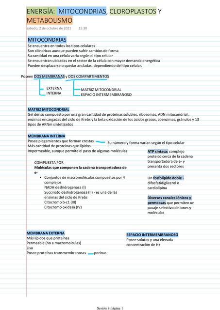 Mitocondrias, cloroplastos y metabolismo 