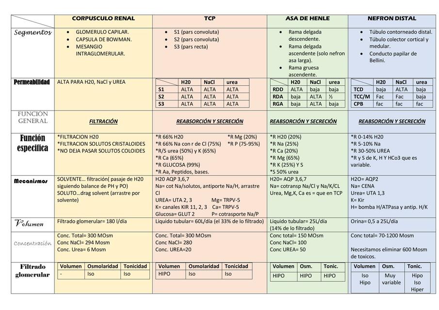 Fisiología renal 