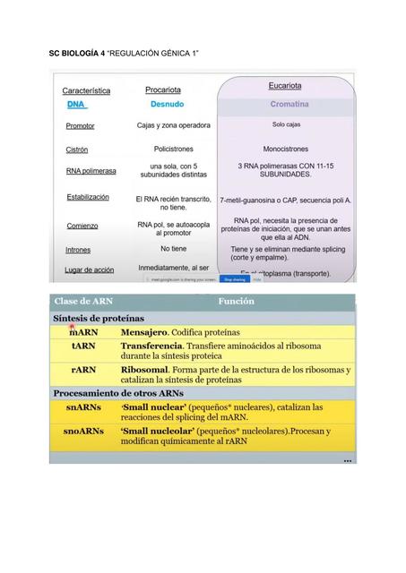 Biología regulación génica