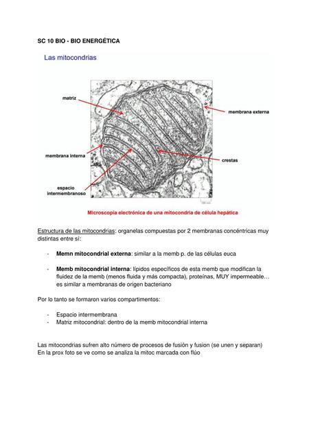 Examen de biología tema bioenergética