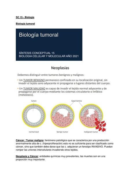 Biología Tumoral