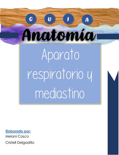 Aparato respiratorio y mediastino