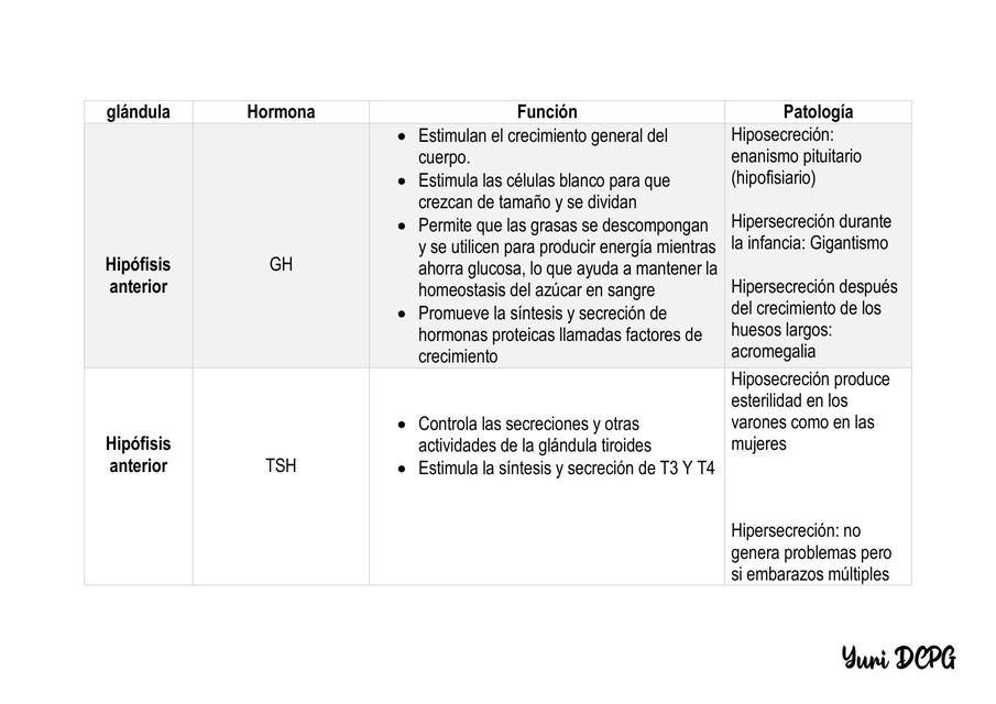 Sistema endocrino