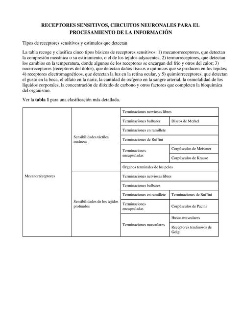 Receptores Sensitivos Circuitos Neuronales para el Procesamiento de la Información