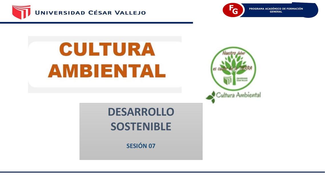 Desarrollo Sostenible