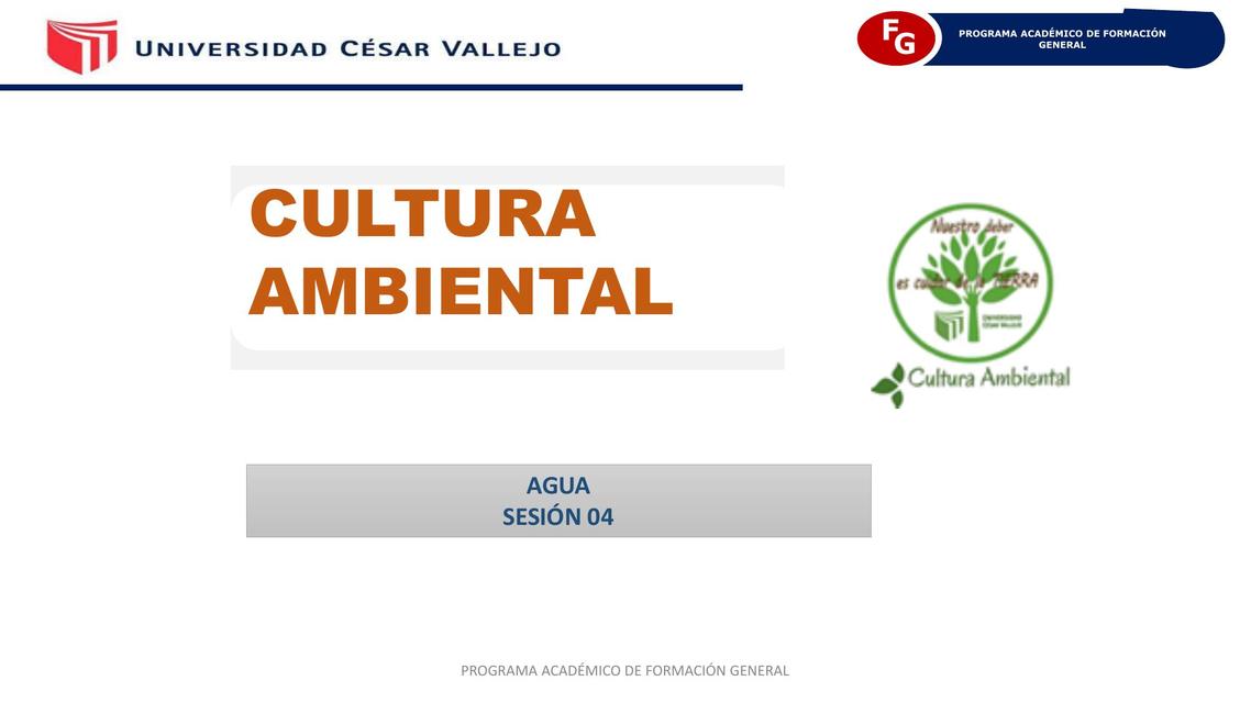 Cultura ambiental