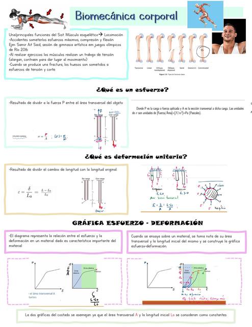 Biomecánica corporal