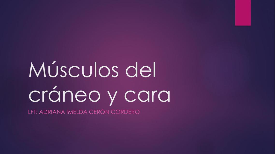 Músculos Del Cráneo Y Cara Udocz