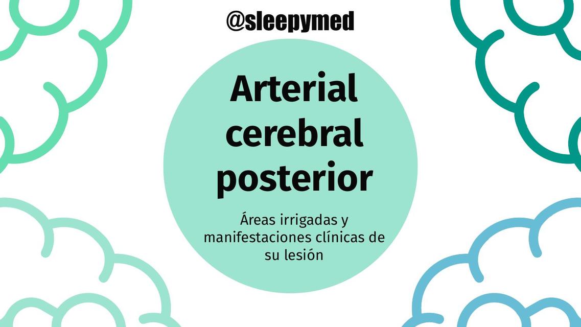 Arterial Cerebral Posterior