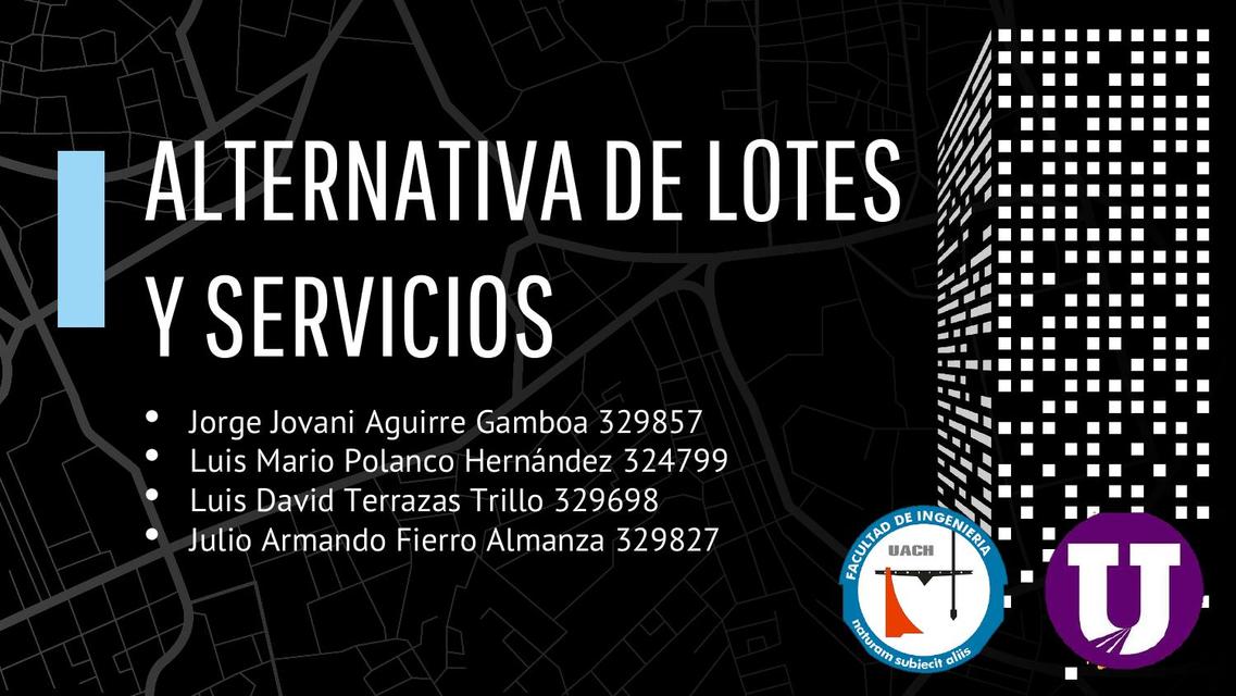 Alternativa de Lotes y Servicios