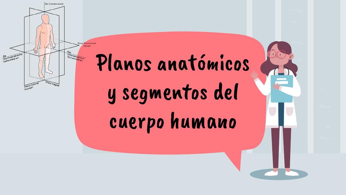 Planos anatómicos y segmentos del cuerpo