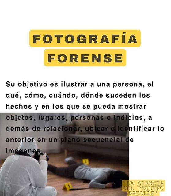 Fotografía Forense