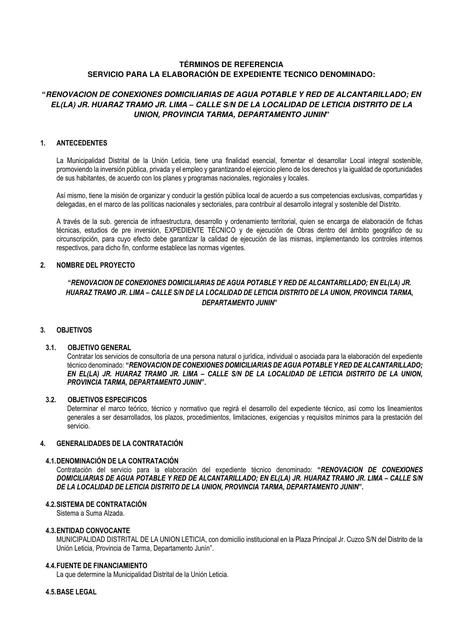 Renovación de Conexiones Domiciliarias de Agua Potable 