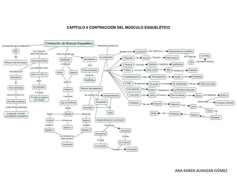 Contracción del Músculo Esquelético 