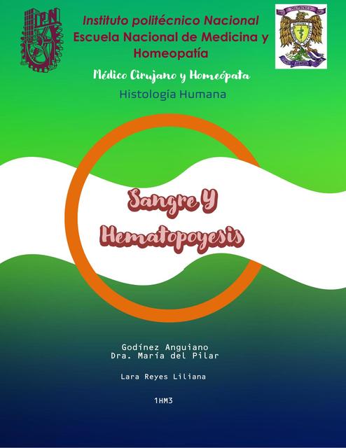Sangre y Hematopeyosis | Lian Reyes | uDocz