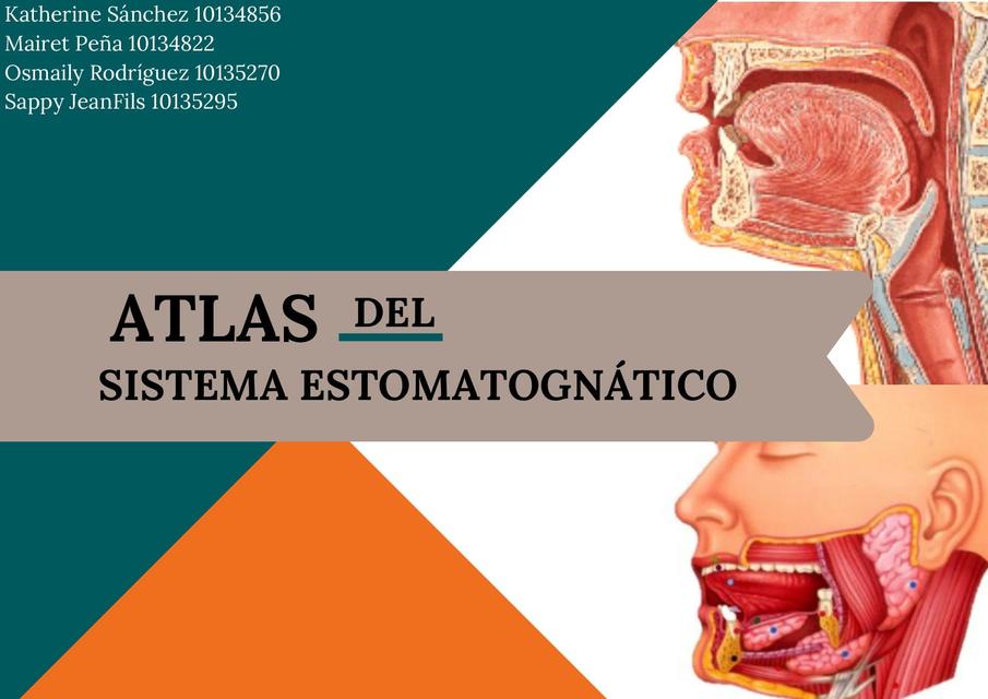 Atlas del Sistema Estomatognático 