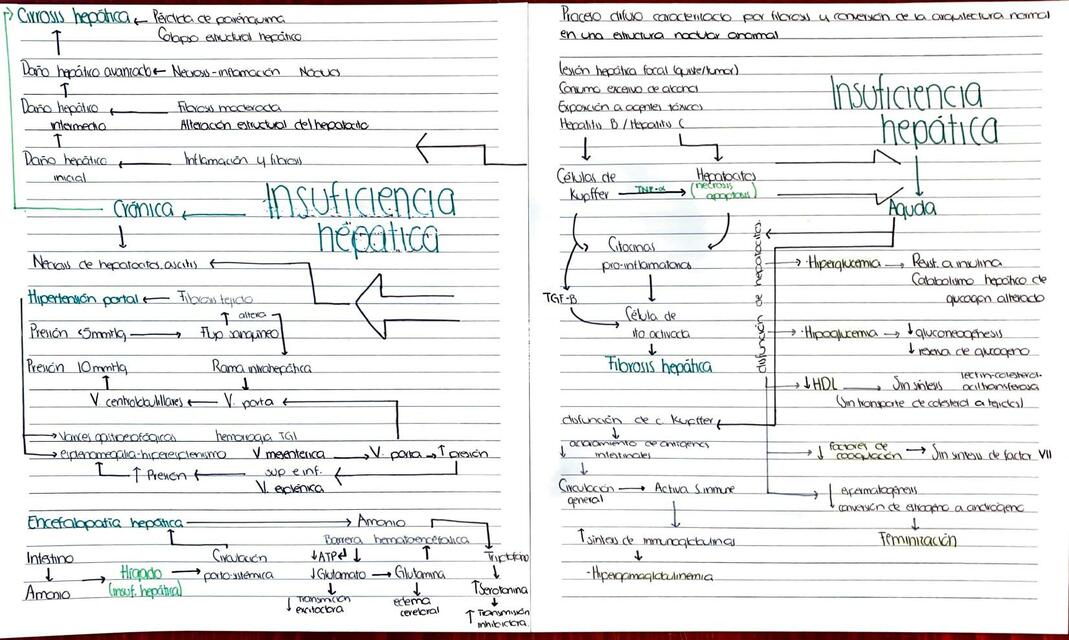 Insuficiencia Hepática Aguda y Crónica e Hipertensión Portal