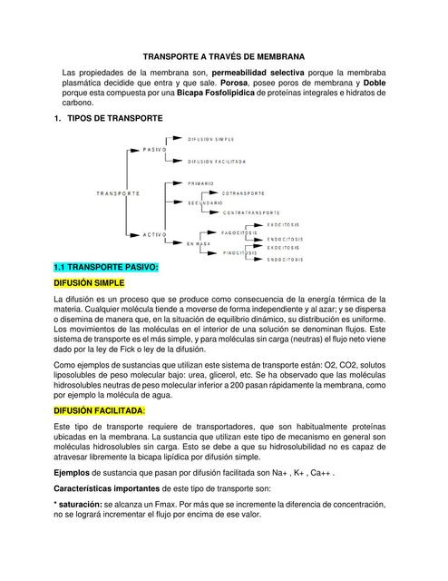 Transporte A Través de Membrana 