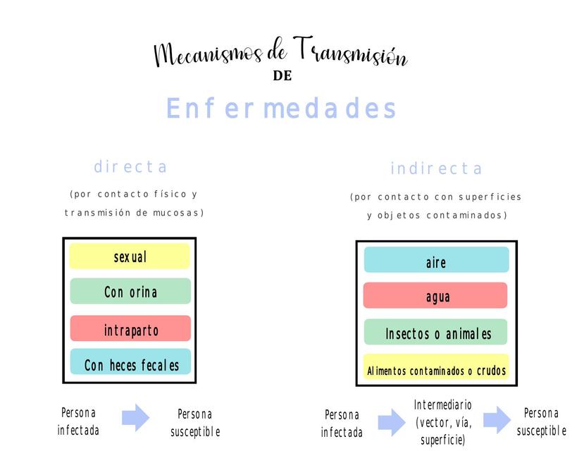 Mecanismos de transmisión de enfermedades uDocz