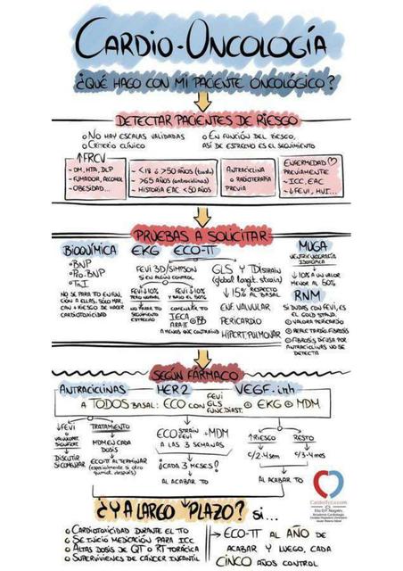 Cardio-Oncología