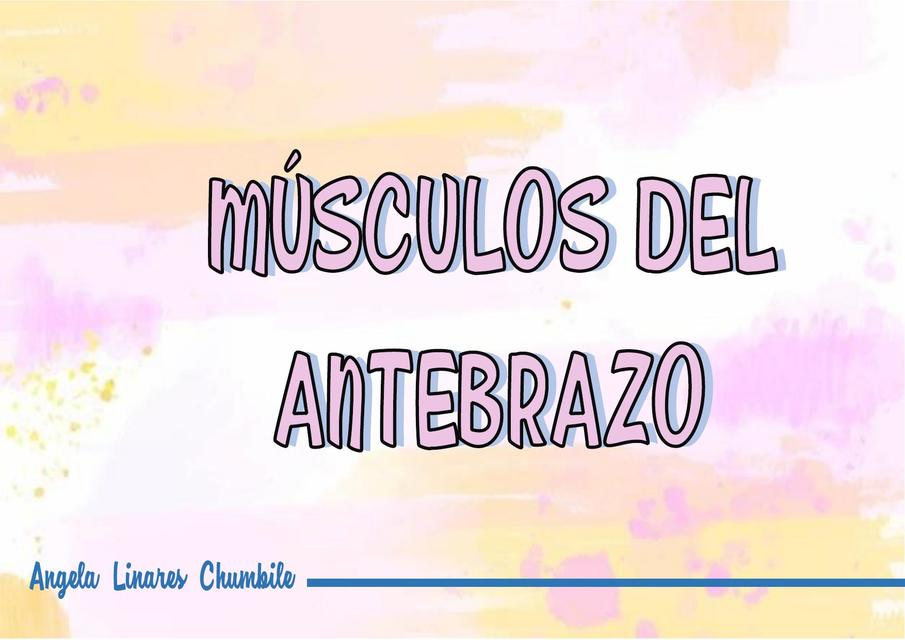 Musculo del Antebrazo