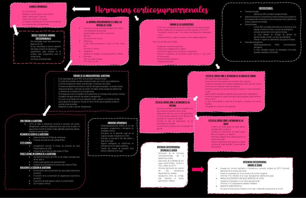 Hormonas corticosuprarrenales