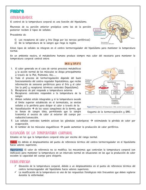 Fisiopatología de la Fiebre