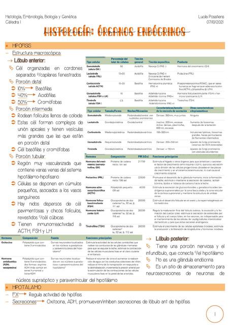 Sistema Endocrino