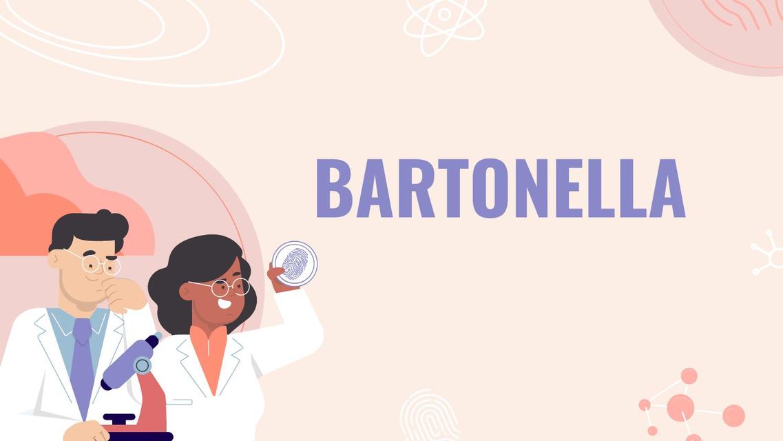 Bartonella