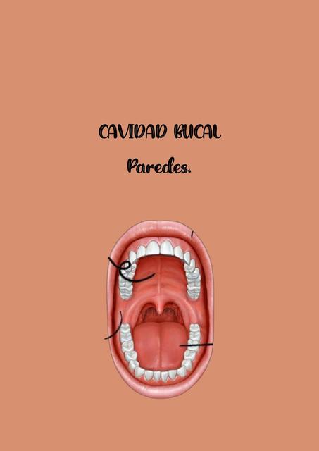 Cavidad bucal