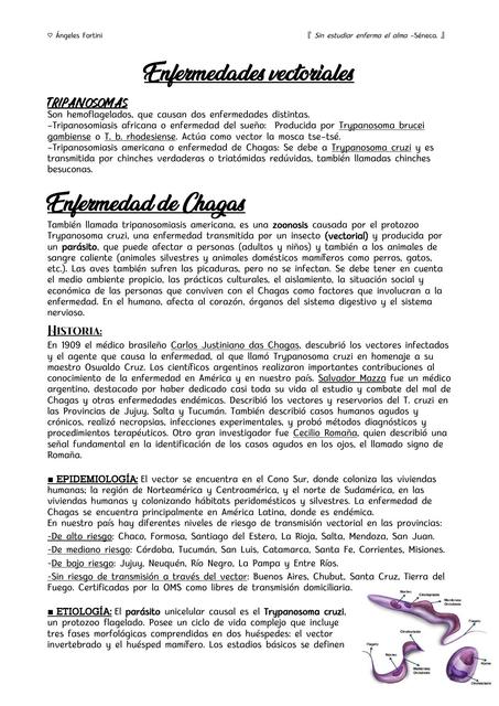 Enfermedades Vectoriales