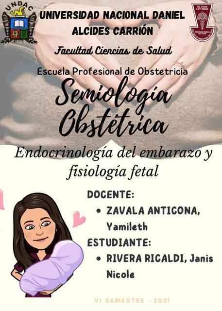 Endocrinología en el Embarazo y Fisiología Fetal 