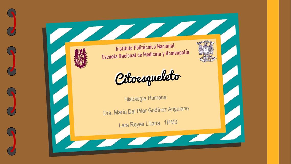 Citoesqueleto | Lian Reyes | uDocz