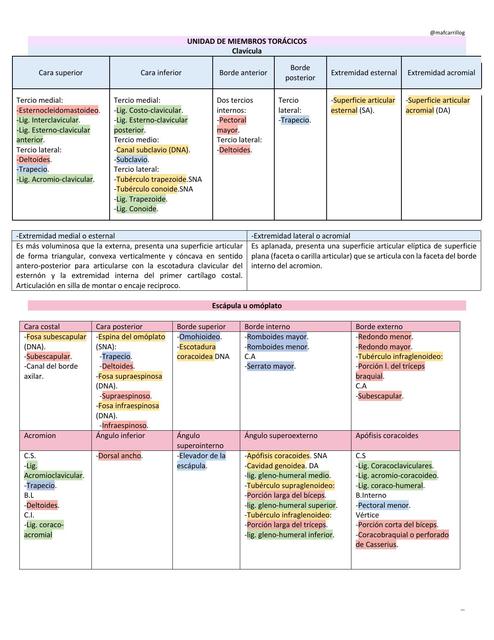Unidad de Miembros Torácicos