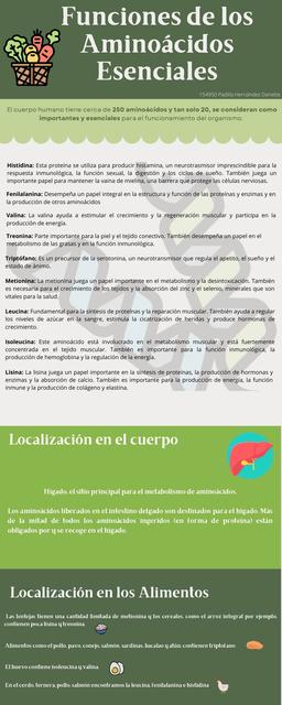 Funciones y Localización de los Aminoácidos Esenciales