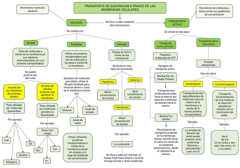 Trasporte de Sustancias a Través de las Membranas Celulares 