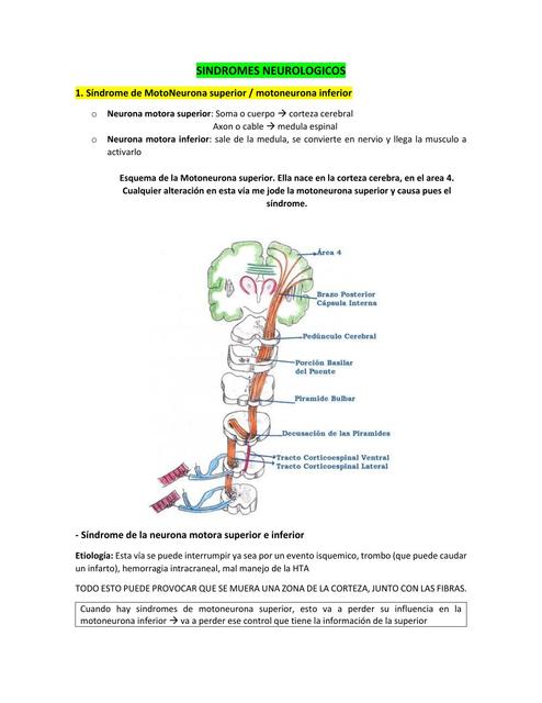 Síndromes Neurológicos
