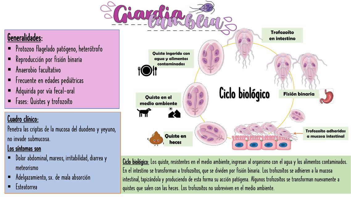 Giardia lamblia