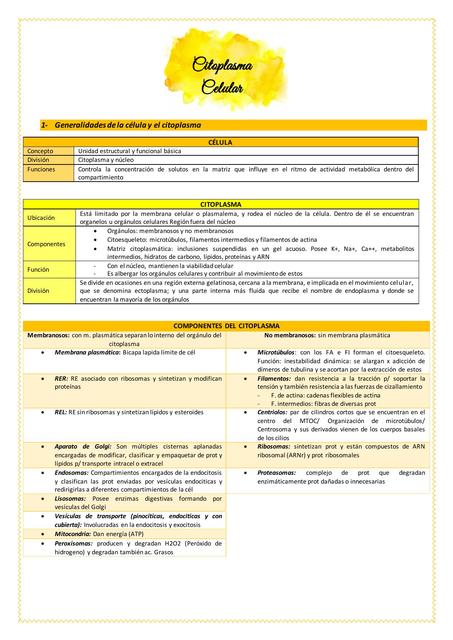 Citoplasma Celular