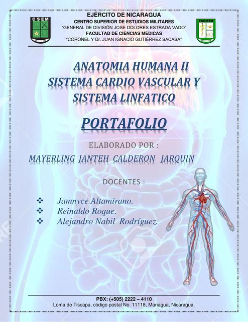 Anatomía Humana