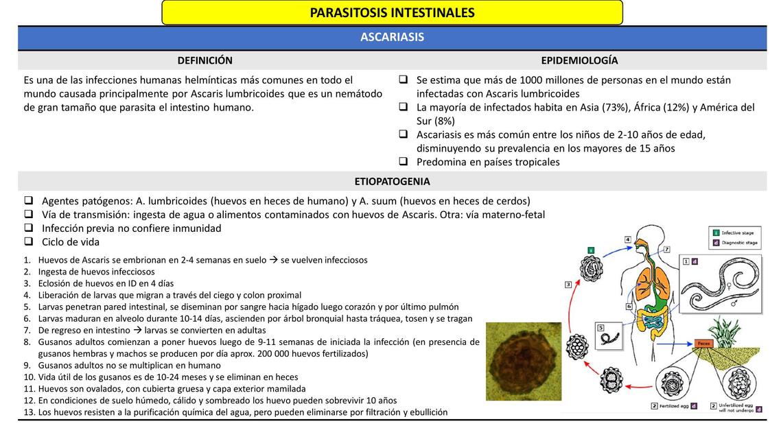 Parasitosis Intestinales