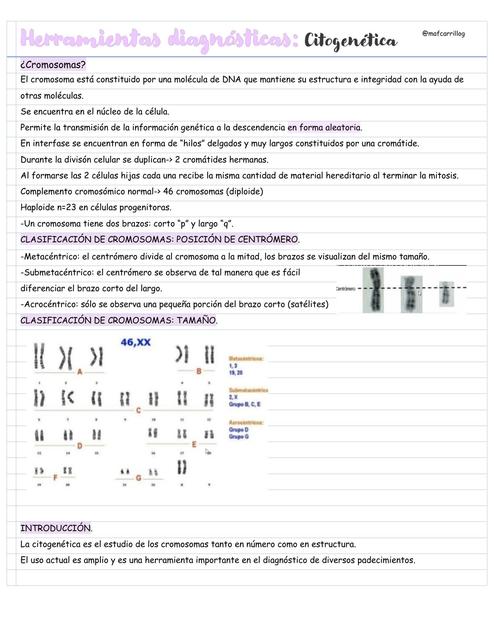 Herramientas Diagnosticas: Citogenética