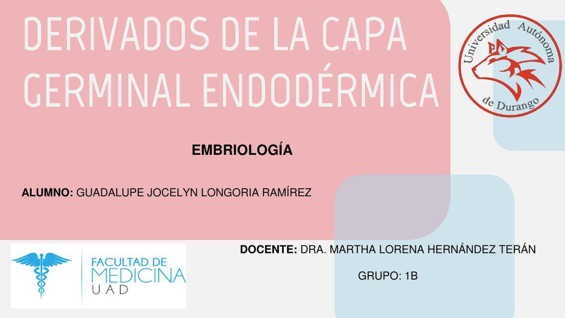 Derivados de la Capa Germinal Endodérmica 