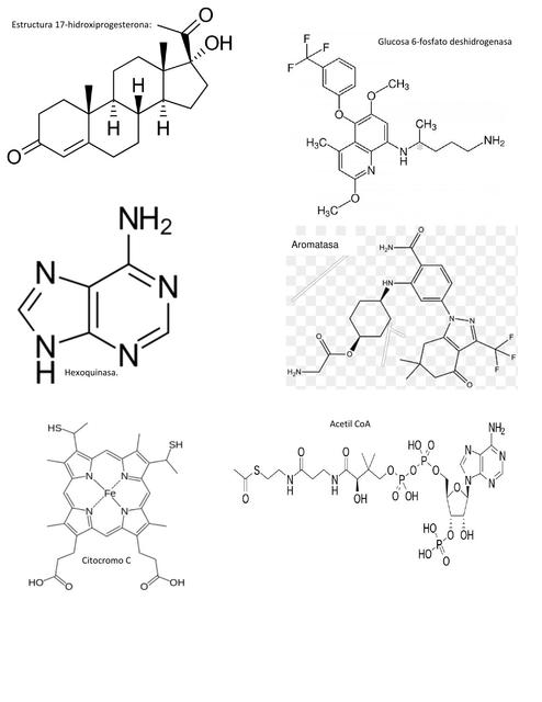 Bioquímica